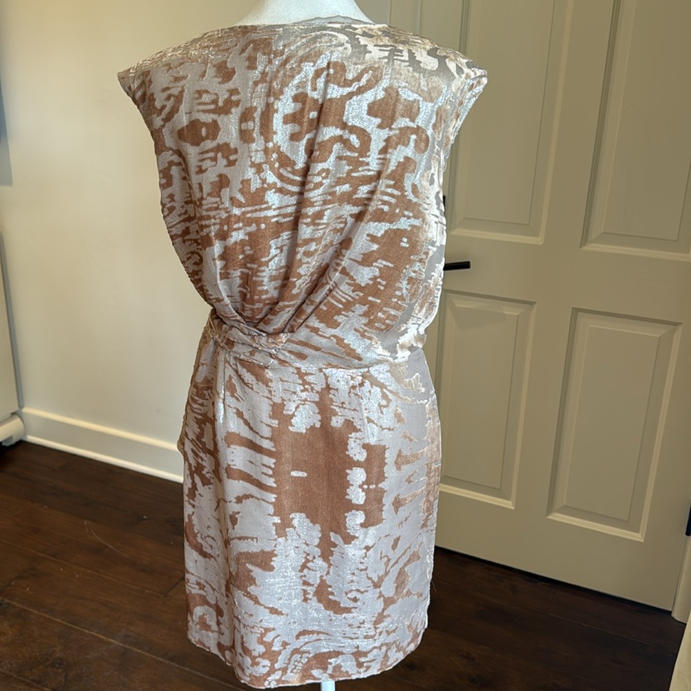 Cynthia Steffe - Josie Burnout Blush & Champagne Gold Metallic Dress - Size: 2 - Picture 5 of 9